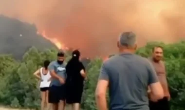 Rusiyanın Krasnodar vilayətində meşə yanğınları tüğyan edir