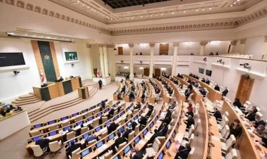 Gürcüstanda böyük amnistiya Saakaşviliyə şamil olunmadı