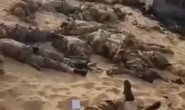 Rusiyanın "Vaqner" Özəl Hərbi Kompaniyası məhv edilib VİDEO