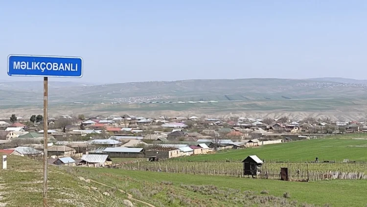 Şamaxıda toyda kütləvi zəhərlənmə olub YENİLƏNİB