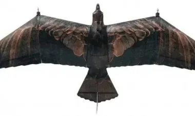 Çin "Kiçik Şahin" adlı quş formalı dron istehsal edib VİDEO