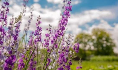 Sabah 37 dərəcə isti olacaq