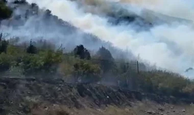 Türkiyənin Tokat bölgəsində yanğın