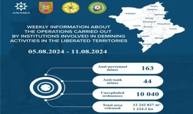 Keçən həftə aparılan minatəmizləmə əməliyyatlarının nəticəsi