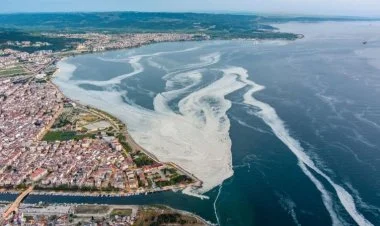 Mərmərə dənizinin vəziyyəti ilə bağlı həyəcan təbili