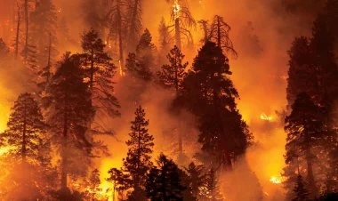 İqlim dəyişikliyi planetdə dağıdıcı yanğınları gücləndirib