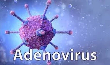 Səhiyyə Nazirliyi qeydə alınan infeksion xəstəlik barədə