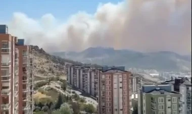 Türkiyədə meşə yanğınları İzmir şəhərinə keçib FOTO