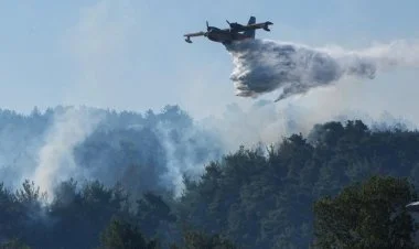 Türkiyədə meşə yanğınları ilə bağlı 9 nəfər həbs edilib