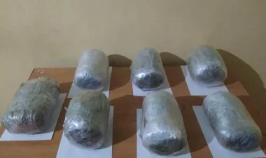 İrandan Azərbaycana narkotik keçirilməsinin qarşısı alındı