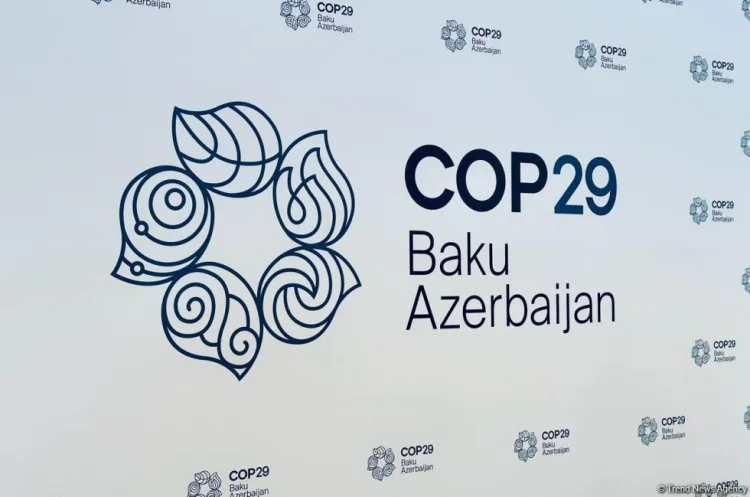 COP29-la əlaqədar tələbələrin təhsili distant olacaq