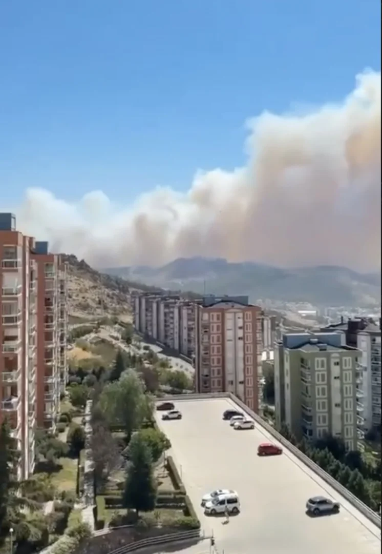 Türkiyədə meşə yanğınları İzmir şəhərinə keçib FOTO