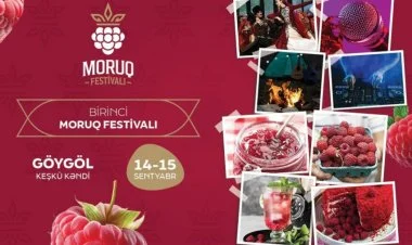 Azərbaycanda ilk dəfə “Moruq Festivalı” keçiriləcək