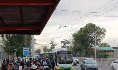 Məmurlara şəxsi avtomobillə işə getməyə qadağan olunub