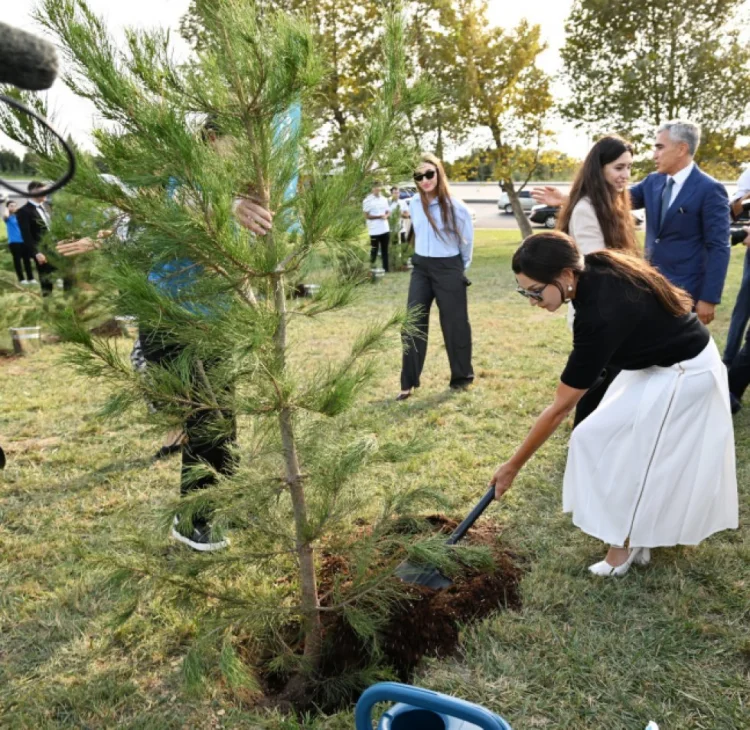 Mehriban Əliyevanın iştirakı ilə ağacəkmə aksiyası FOTO