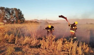 Naxçıvanda taxıl sahələri yanıb