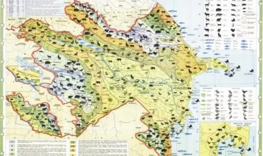 Azad olunmuş ərazilərə müxtəlif heyvanlar buraxılıb