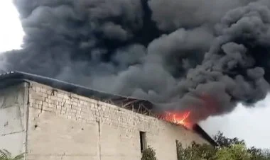 Tovuzda şərab zavodunda yanğın baş verib VİDEO