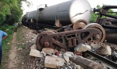 Şri-Lankada qatar fil sürüsü ilə toqquşub