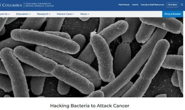 Xərçəng xəstəliyinə tezliklə çarə tapıla bilər