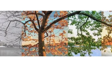 Gələn il fəsillərin Azərbaycana daxilolma vaxtları açıqlanıb