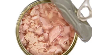 Konservləşdirilmiş tuna balığının tərkibində civə var