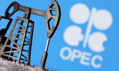 OPEC+ dekabrdakı neft hasilatının artımını təxirə sala bilər