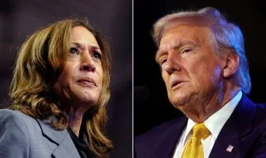 Kamala Harris Donald Trampa zəng edərək təbrik edib