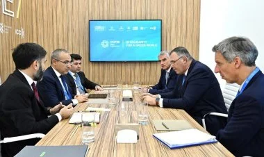 Mikayıl Cabbarov fransız şirkətilə nəyi müzakirə edib?