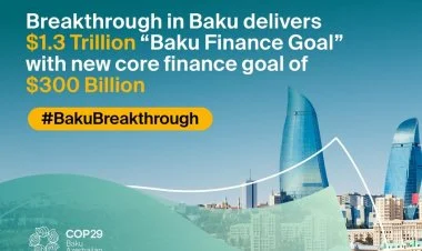 COP29-da tarixi nailiyyət