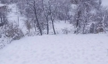 Türkiyənin 24 əyalətində tətil elan olunub