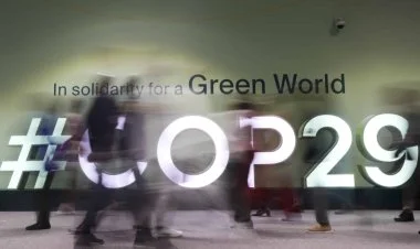 COP29-da ən çox kiberhücum “cop29.az”, “president.az”a olub