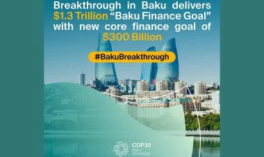 100 ölkədən 500 xarici QHT birgə bəyanat yayıb