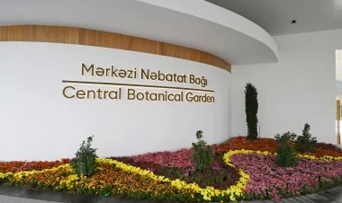 Mərkəzi Nəbatat Bağı FOTOREPORTAJ