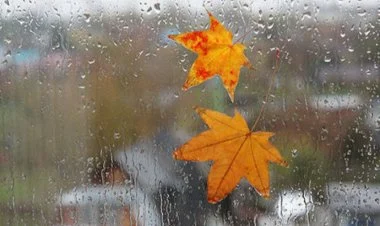 Ölkə ərazisində yağıntılı hava şəraiti davam edir