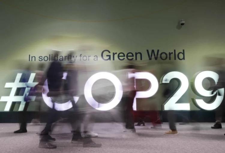 COP29-da ən çox kiberhücum “cop29.az”, “president.az”a olub