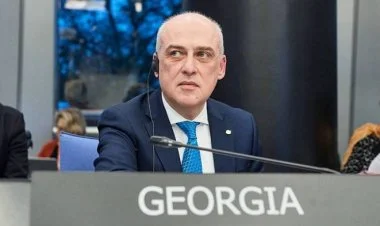 Gürcüstanın ABŞ-dakı səfirinin istefası təsdiqləndi