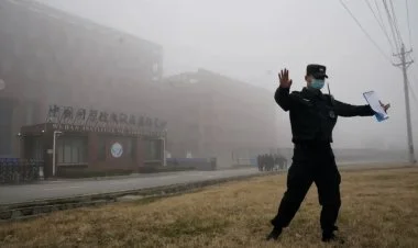 COVID-19-un törədicisi Çinin laboratoriyasında yaranıb