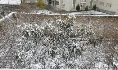 Hazırda Bakıya qar yağır