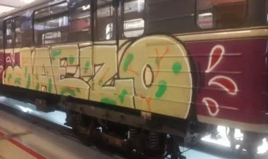Bakıda metroya ziyan vuran fransalı ilə bağlı qərar