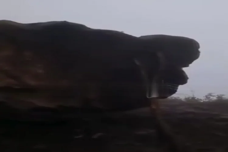 Lerikdə iri qaya parçası yola düşüb