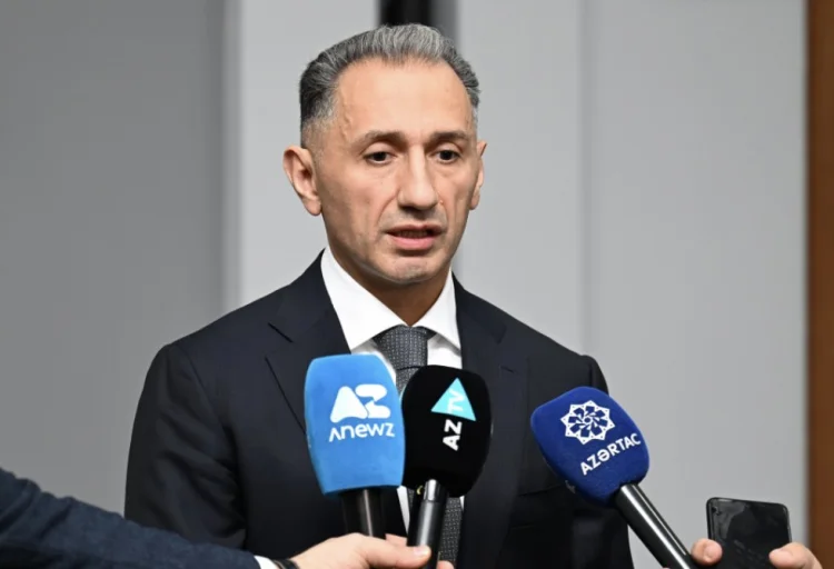 Rəşad Nəbiyev: Təyyarəyə kənar müdaxilə olub