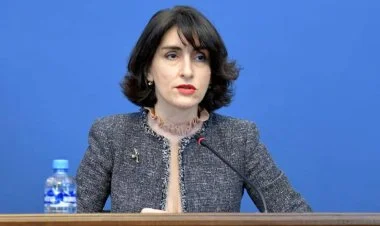 Gürcüstanın xarici işlər naziri Azərbaycana səfərə gələcək