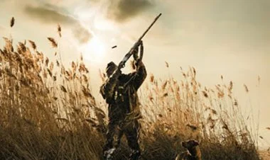 Azərbaycanda ov mövsümü açıq elan edilib