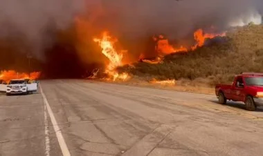 Los-Ancelesdə meşə yanğını yenidən tüğyan edir FOTO