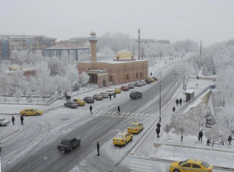 Naxçıvan və dağlıq rayonlarda 8 dərəcəyədək şaxta olub