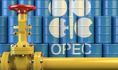 OPEC+ Trampın arzusunu ürəyində qoydu