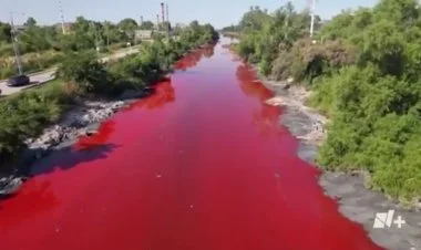 Argentinada bir kanal qan qırmızıya boyanıb