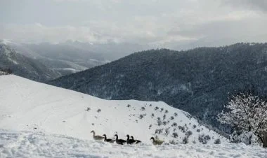 Dağlarda 17 dərəcəyədək şaxta olub