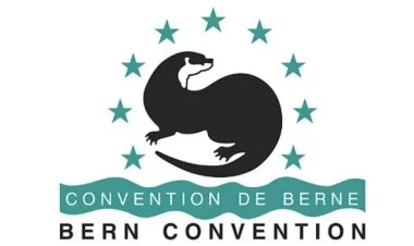 "Bern Konvensiyası" nədir və Azərbaycana nə verə bilər?
